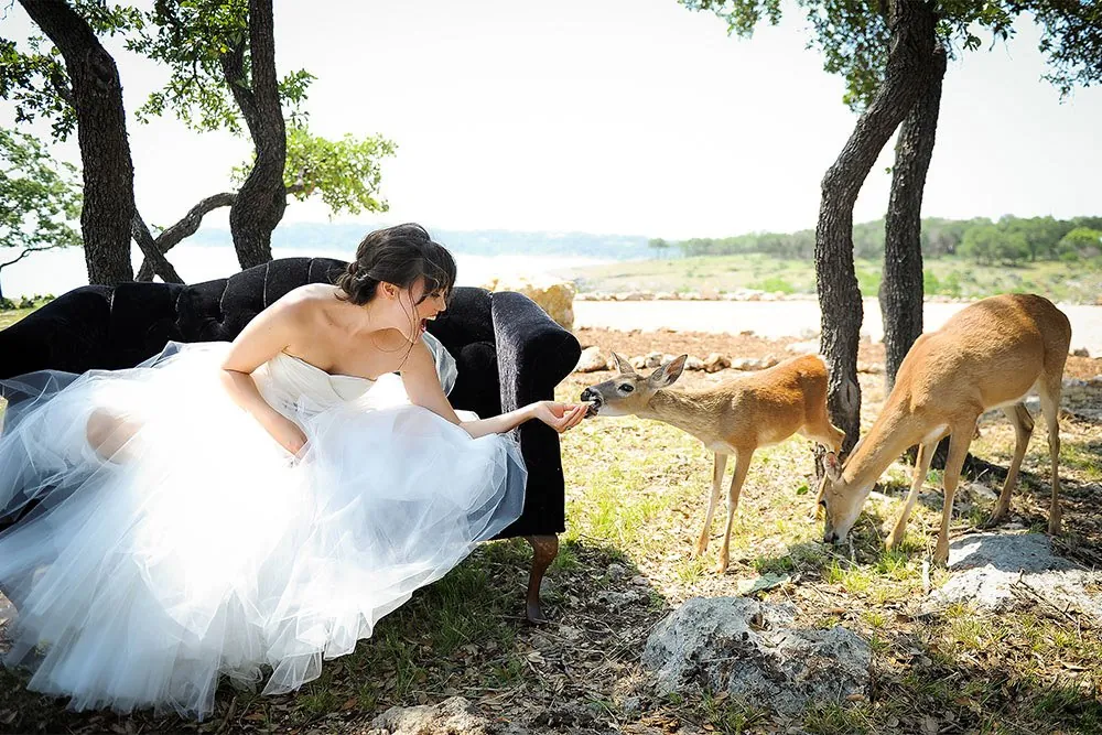 A bride in a white gown feeding two deer beneath the trees